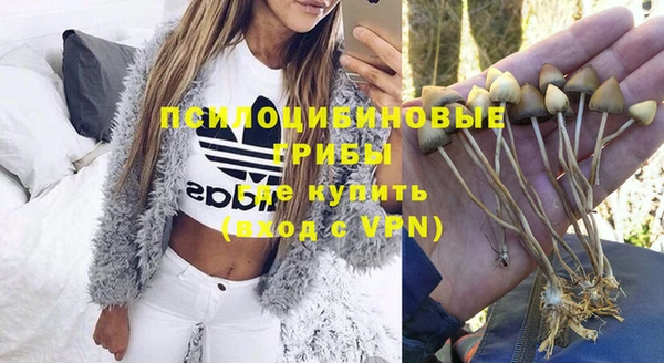 mdma Богородицк