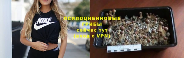 экстази Богородск