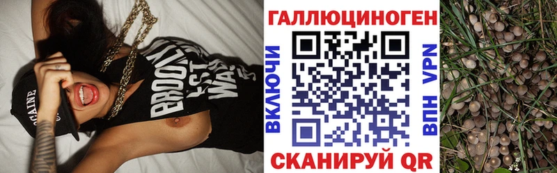 даркнет официальный сайт  Медногорск  Псилоцибиновые грибы ЛСД 
