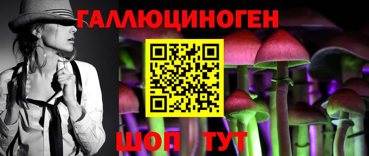 Псилоцибиновые грибы Psilocybine cubensis  Псилоцибиновые грибы мухоморы  Медногорск  Вход с VPN 